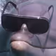 Abunga