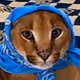 samiy100