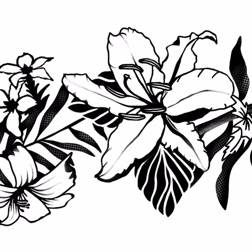 OpenSea banner for @Fi
