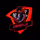 KARMADILLO