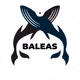baleas.eth