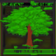 skomra-forest