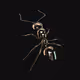 ANT-X