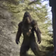 bigfootbeliever