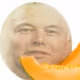 MelonFusk