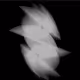 TaCyTurn