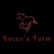 Rocco_nfts2