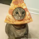 0xpizzacat