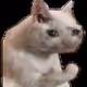 JordinoSmells