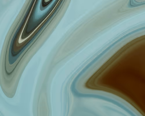 OpenSea banner for @Petit