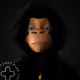CRYPTINHO_Quinn