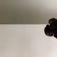 panDabs