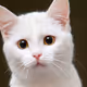 0x882dd668a29dca25930702d3f0d1b09d484ad22a