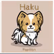 hakunosuke