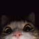 G_O_G