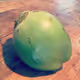 Houchnut