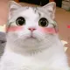 web3-koko