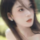 maomaoloverose