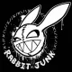 RabbiTJunK