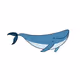 LargeWhale