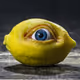 The_Fruit_Factory