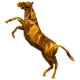 vanQish64