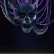 shrowdyshroudshroud