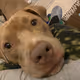 Jojo2346