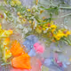 0x891452a61fad9ec4199efd09cce774a980ab2ffd