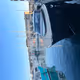 M_albi