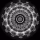 PhysicalWaves