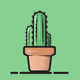 cactusjack
