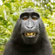 Adedik