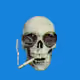 Burn_Wallet_005