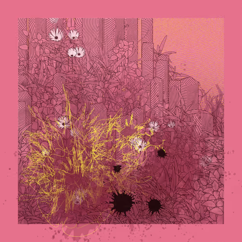 OpenSea banner for @abnormality