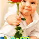 Dom2038