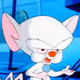 RatoDaltonico