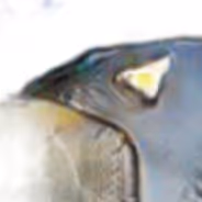OpenSea banner for @ocr