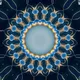 CircleOfLifeNFT