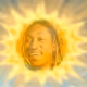 precision8209