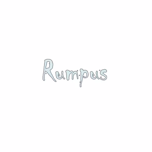 OpenSea profile picture for @rumpus
