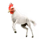 nftvacuumnow
