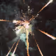 cl115_Lands