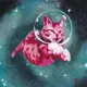 spacekitten_101