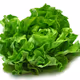 Lettucehandsbozos