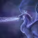 Dragon-Cave