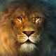 0x8a1edffc72bb8c5ac31794b9e014a4f54ff67339