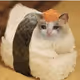 dingdongbingbong