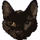 PixelKittys