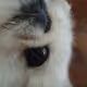sleepingpeke
